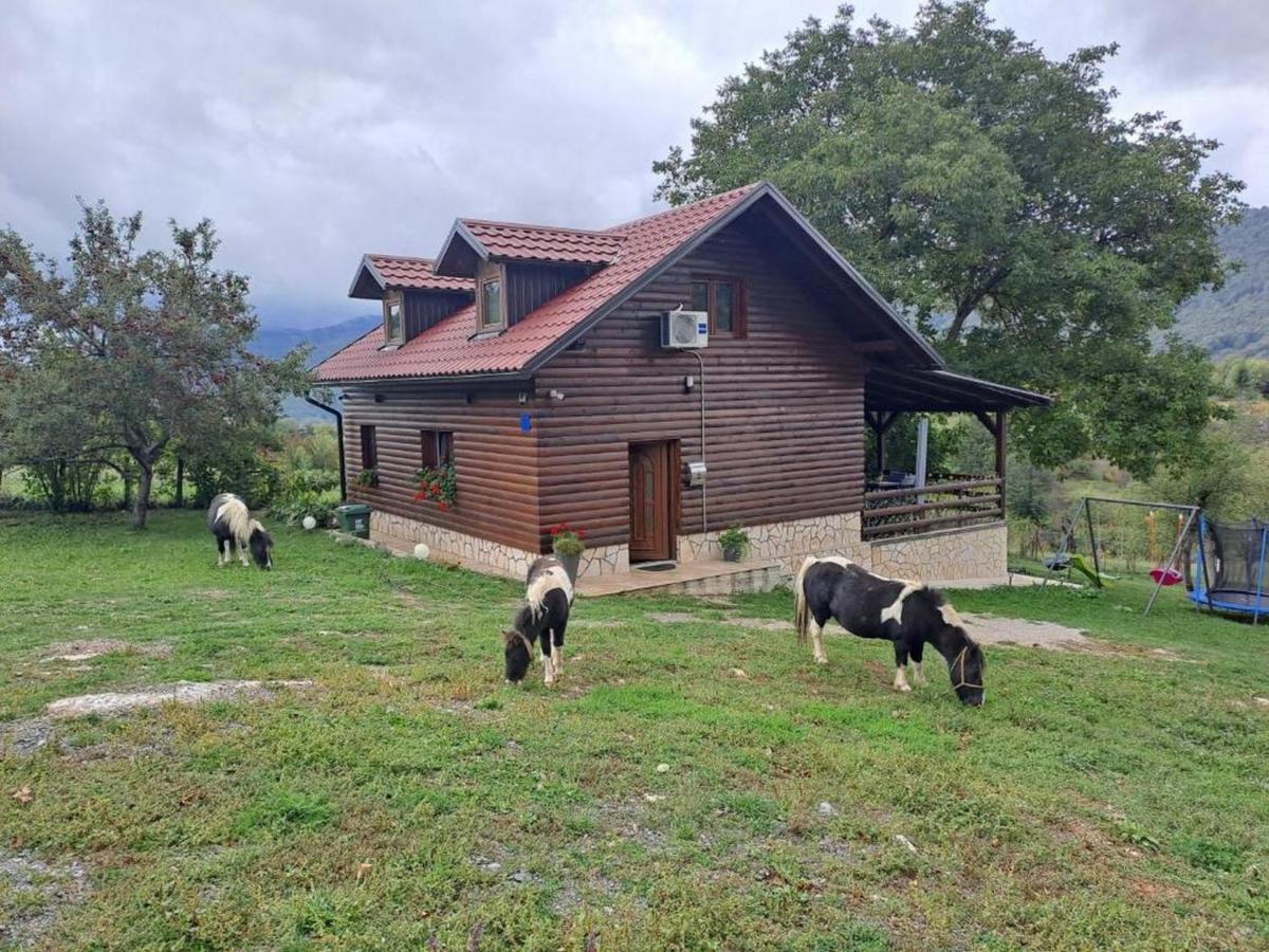 הוילה אוטוצאץ Matan House מראה חיצוני תמונה